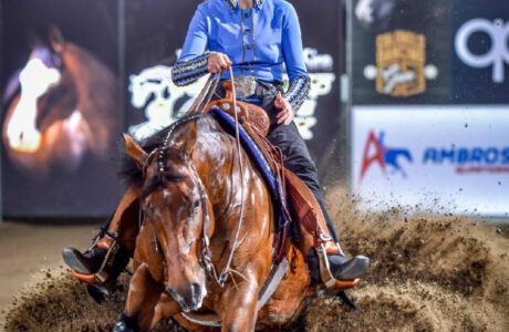 Futurity Cremona European Championship Anna-Maria Zehetbauer riding  SS Gunnafreezeya